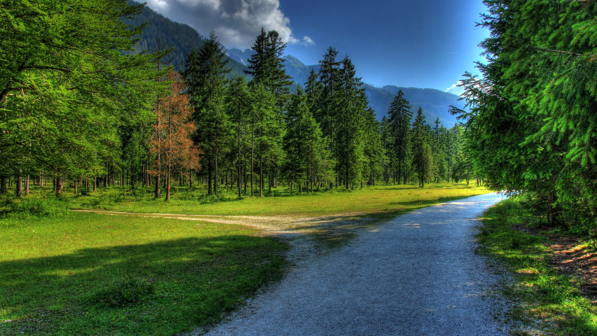 Background